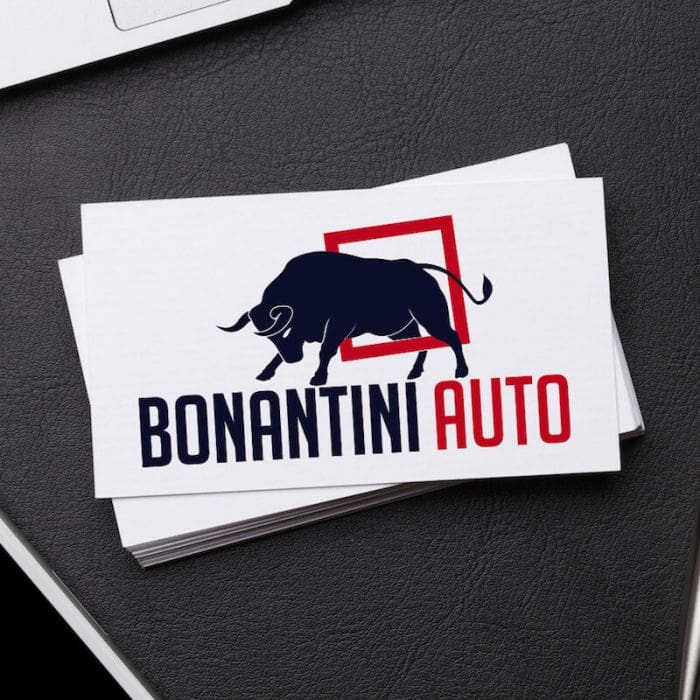 logo bonantini portfolio-3